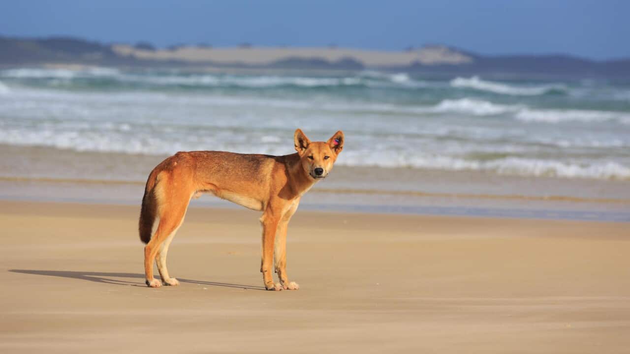 Image for read more article 'READ MORE'