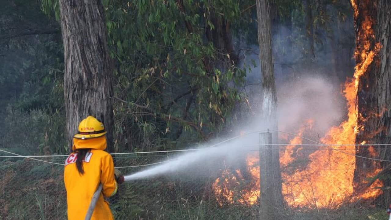 Firefighters battle a bushfire.