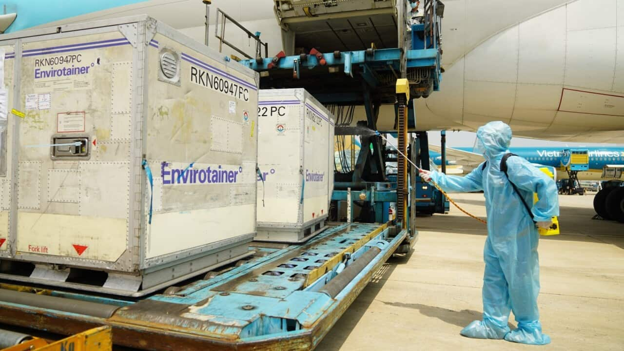 A health official sprays disinfectant on the first batch of AstraZeneca/Oxford Covid-19 coronavirus vaccine shipment after its arrival at the Tan Son Nhat airport.