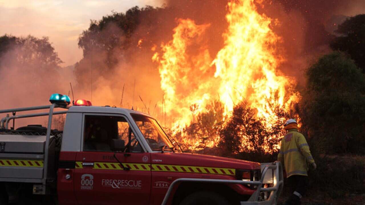 Firefighters battle a bushfire in WA's south