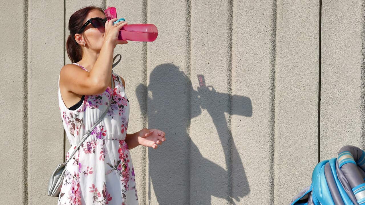 Image for read more article '更多內容'