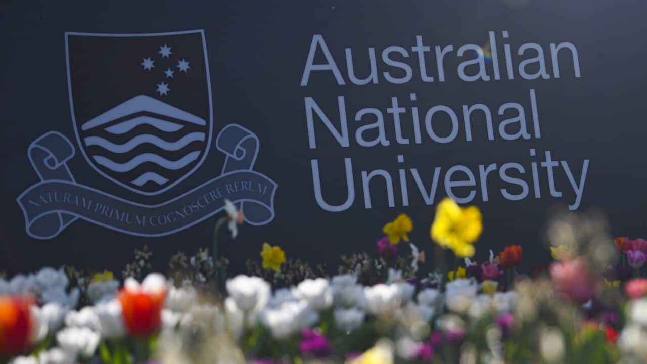 The Australian National University (ANU) says COVID-19 will force it to shed hundreds of jobs from its workforce. 