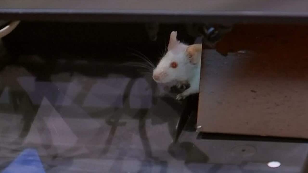 Image for read more article 'READ MORE'