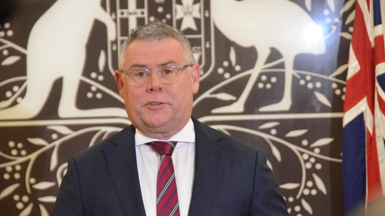 Federal Environment Minister Murray Watt standing in front of the Australian coat of arms and the Australian flag.