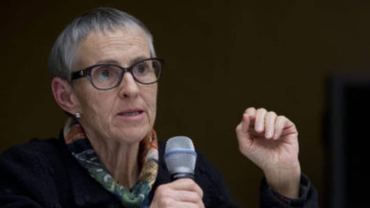 UN committee, family violence 