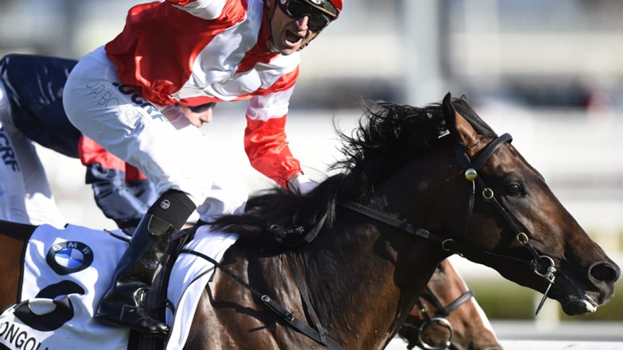 Mongolian Khan wins the Caulfield Cup