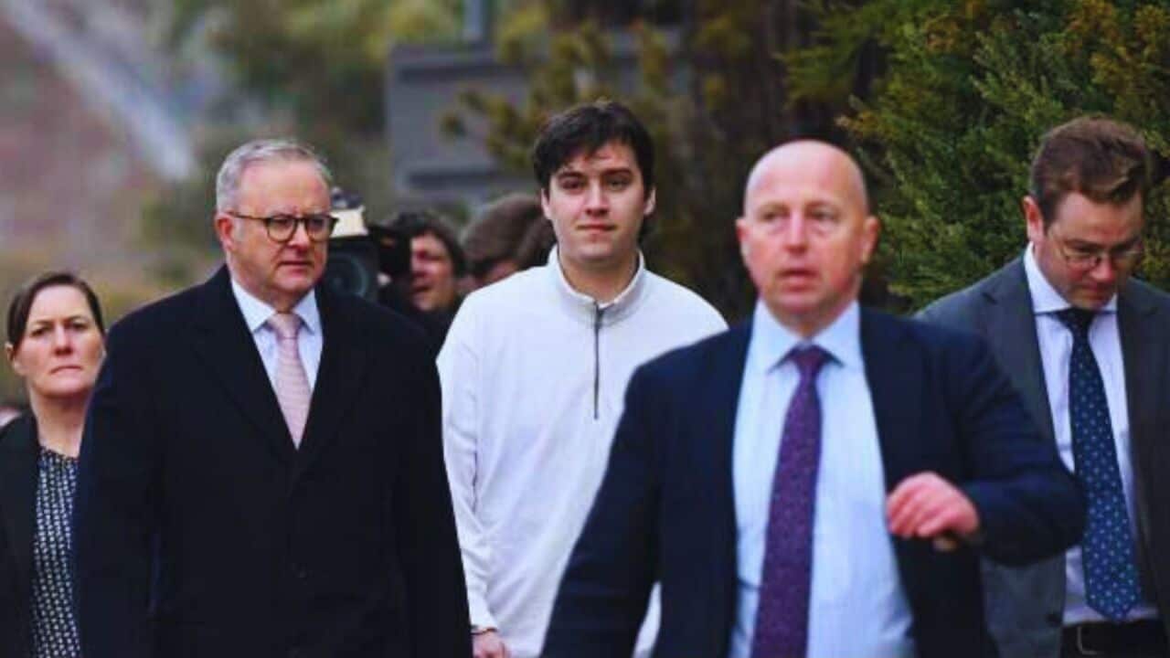 PARLY.jpg