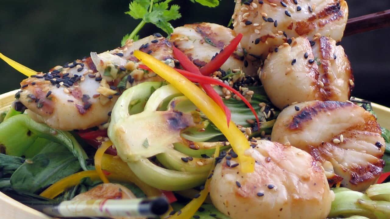 Grilled scallops with bok choy