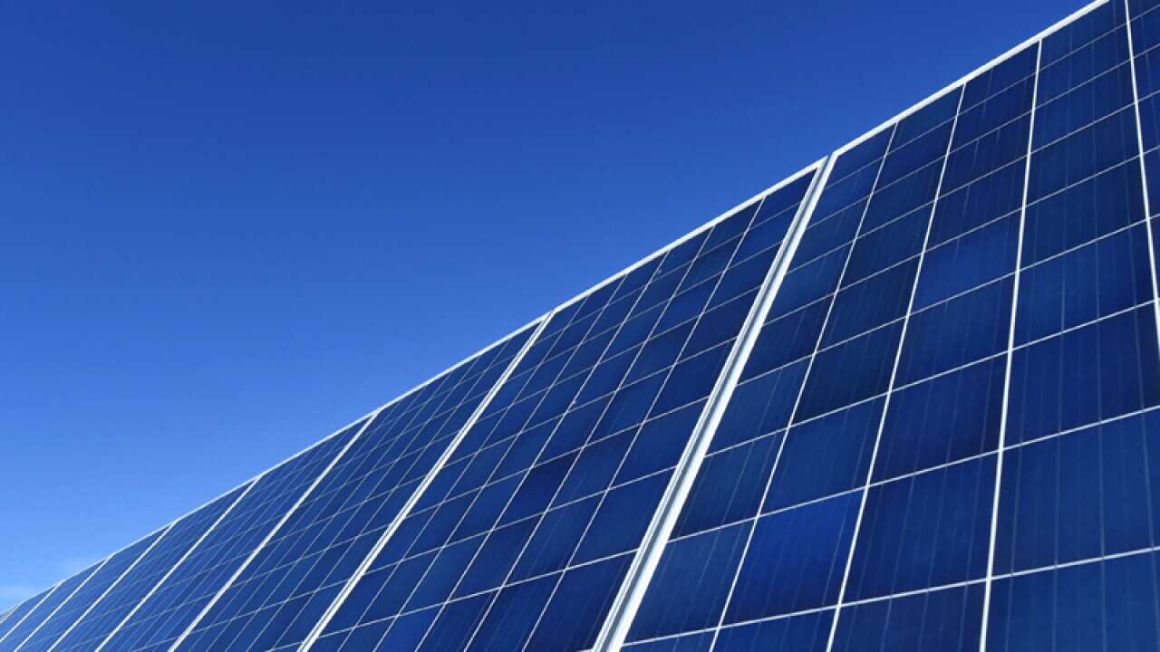 Solar panels are seen at a solar farm