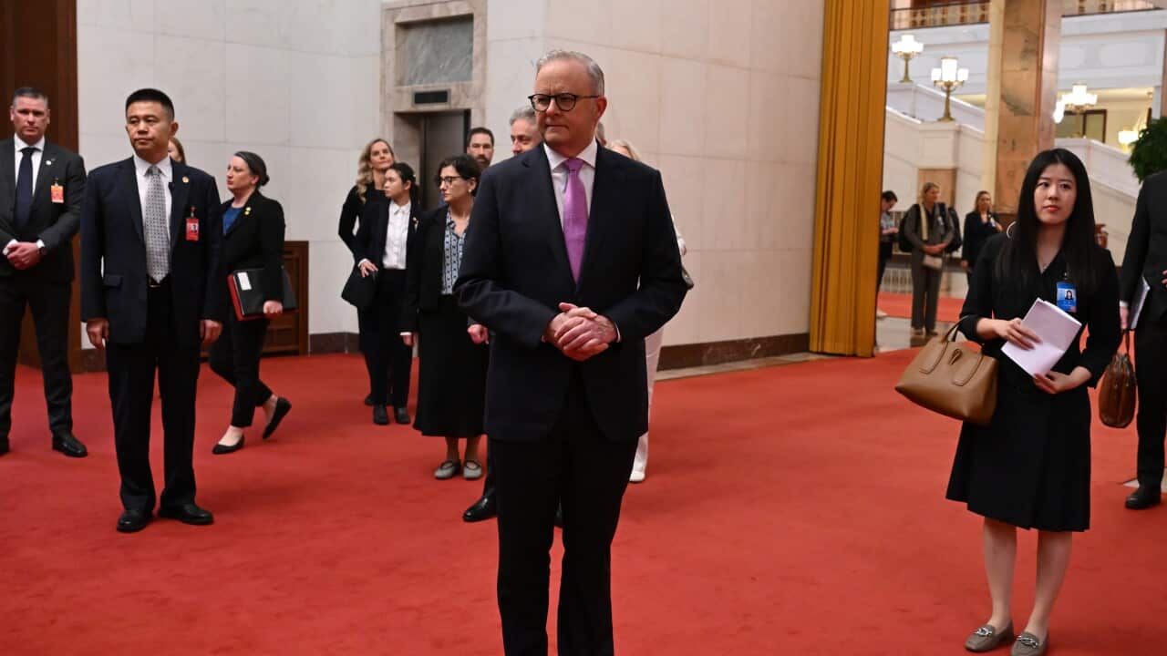 Image for read more article 'READ MORE'