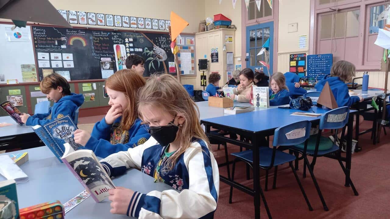 Image for read more article ''