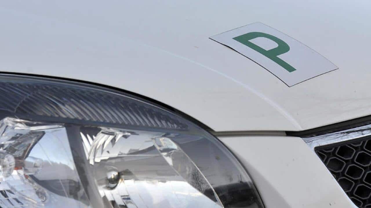 Regulations on P plate to be tightened
