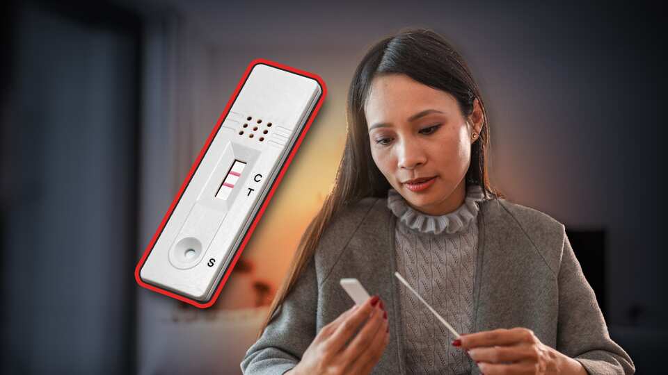 Here's how concession card holders can now access free rapid antigen tests SBS News