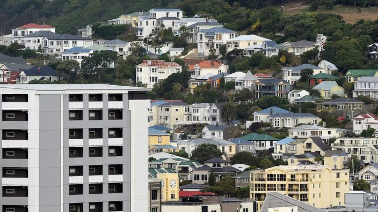 Residential housing in Wellington, New Zealand