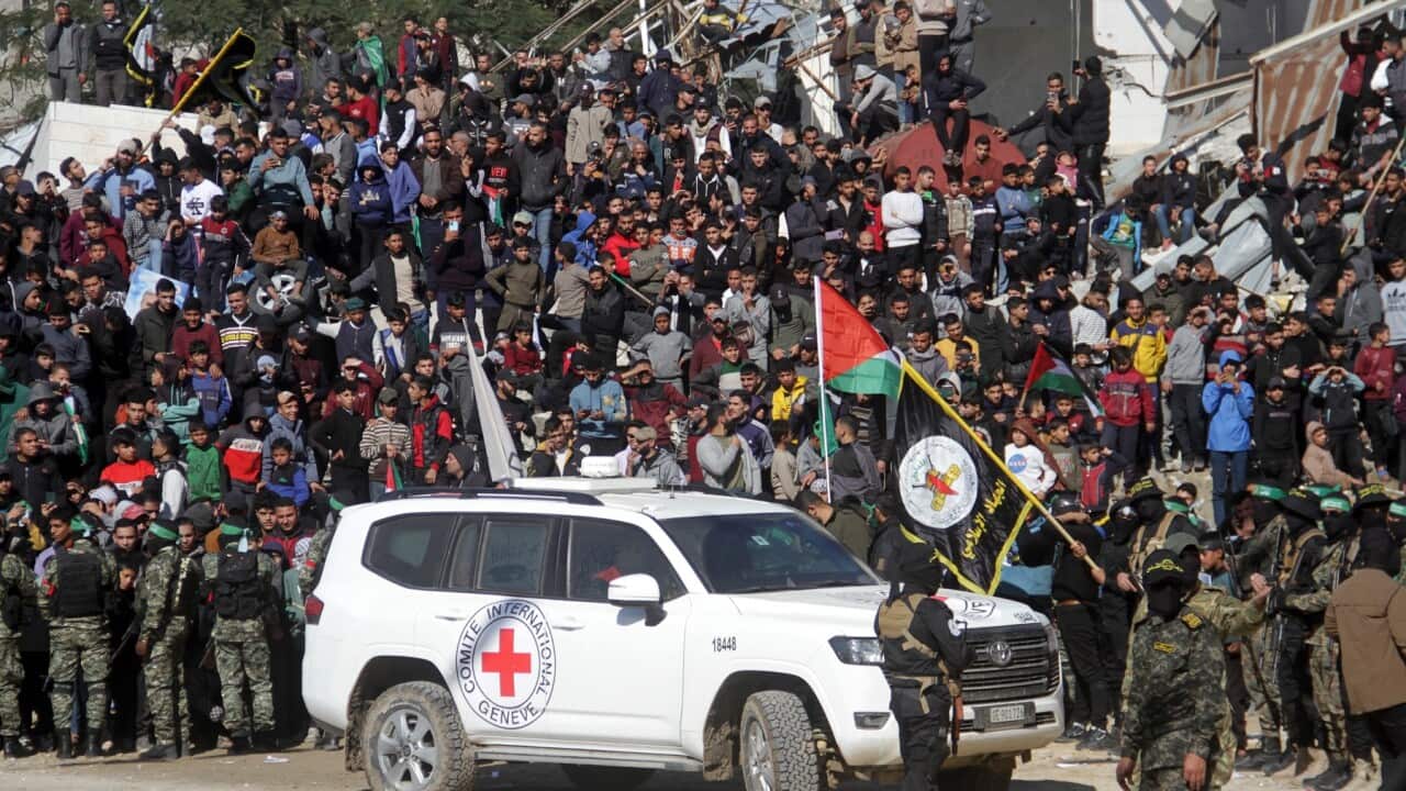 Four Israeli hostages are released from Gaza