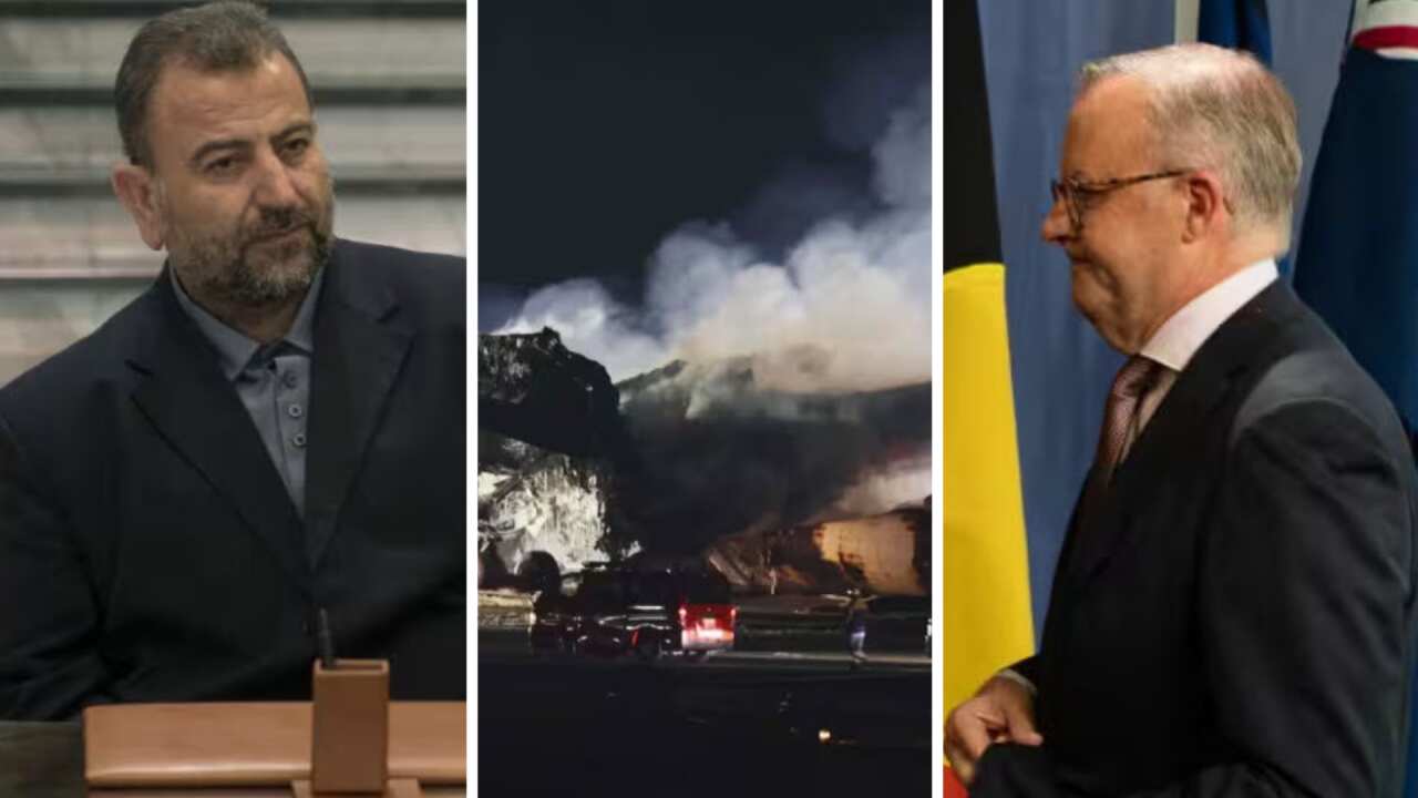 News Triptych (1).png