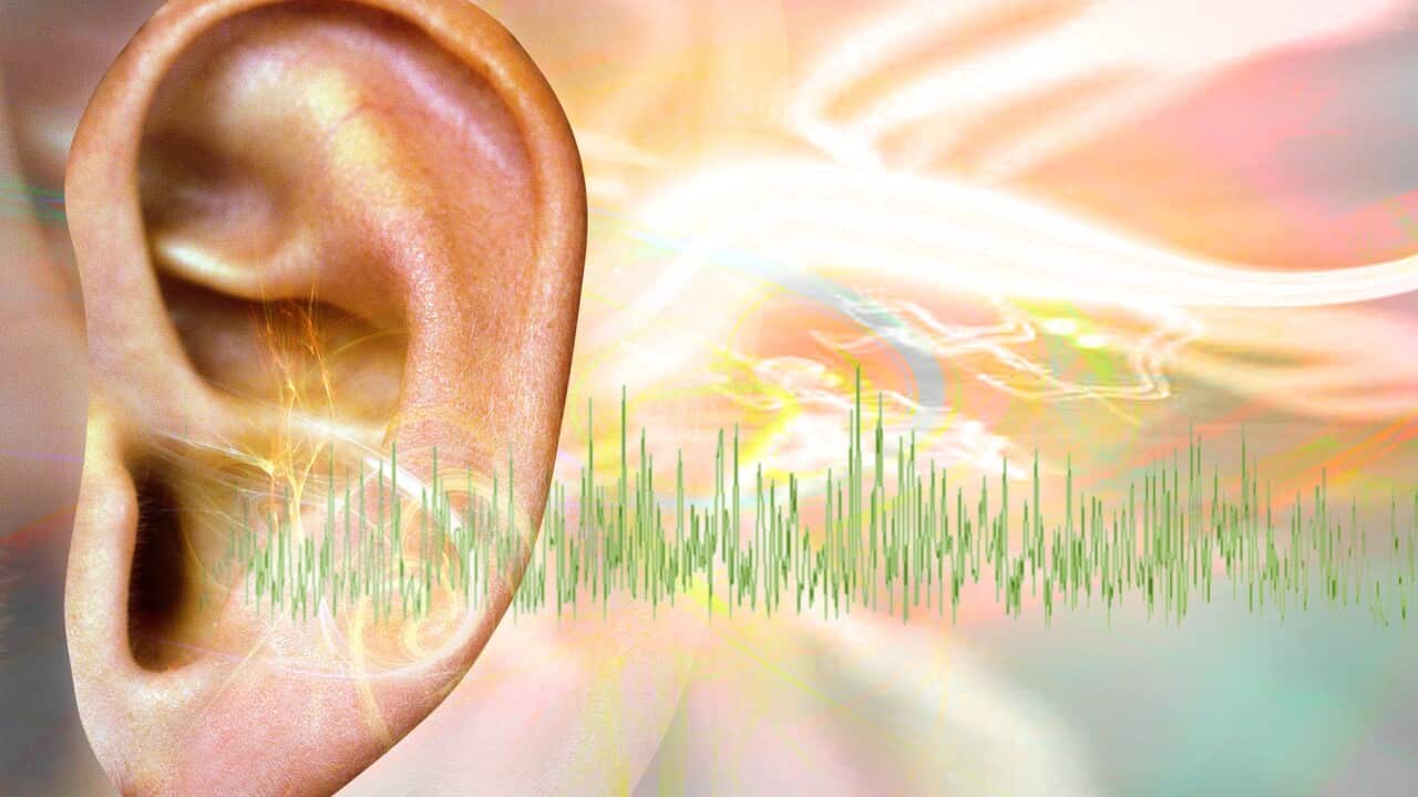 Tinnitus, conceptual artwork