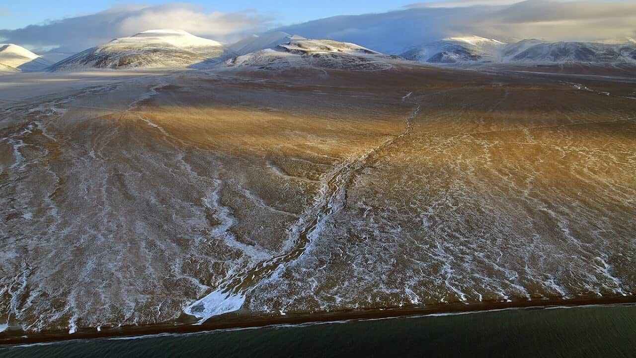 Image for read more article 'READ MORE'