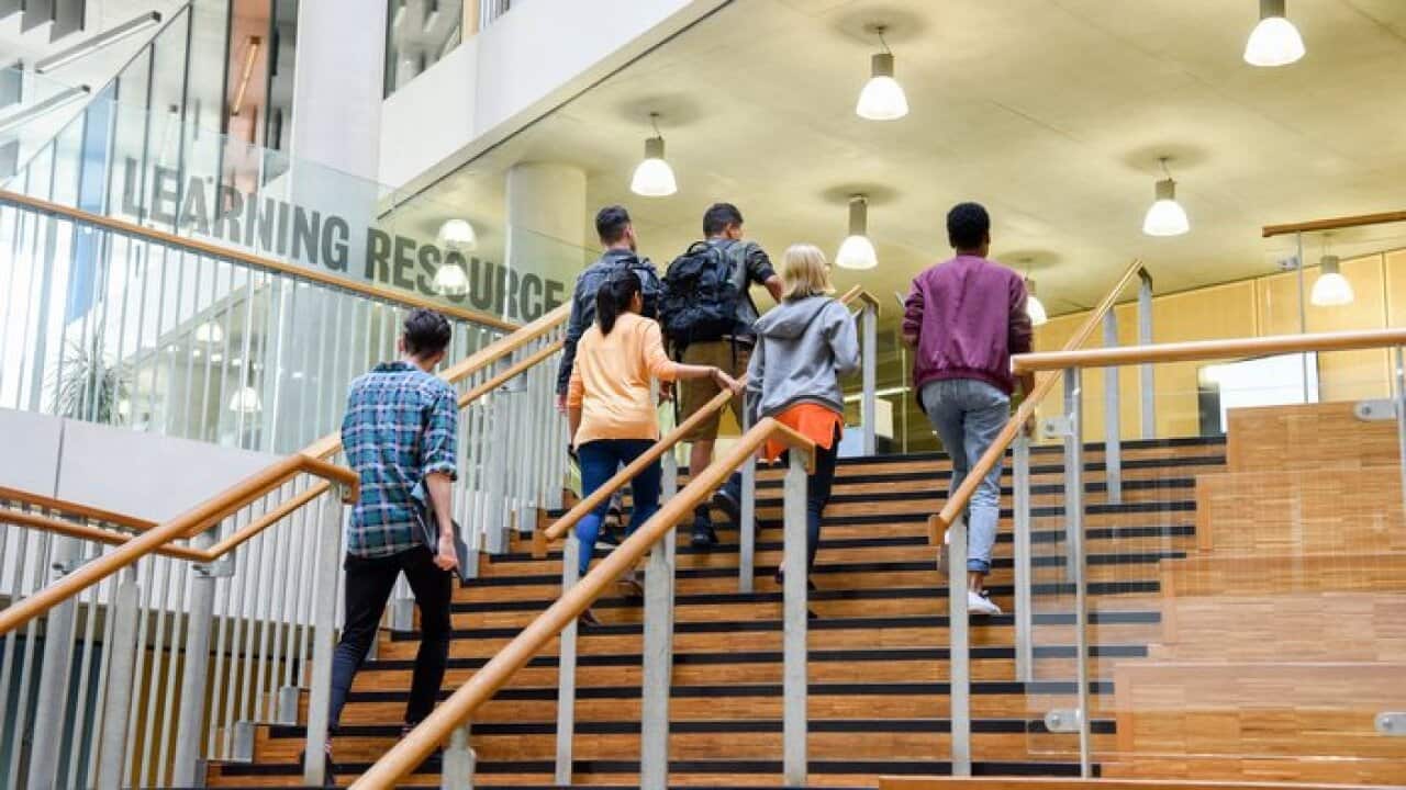 Representational image of international students