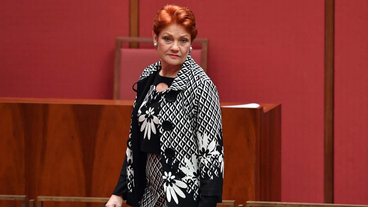 One Nation Senator Pauline Hanson