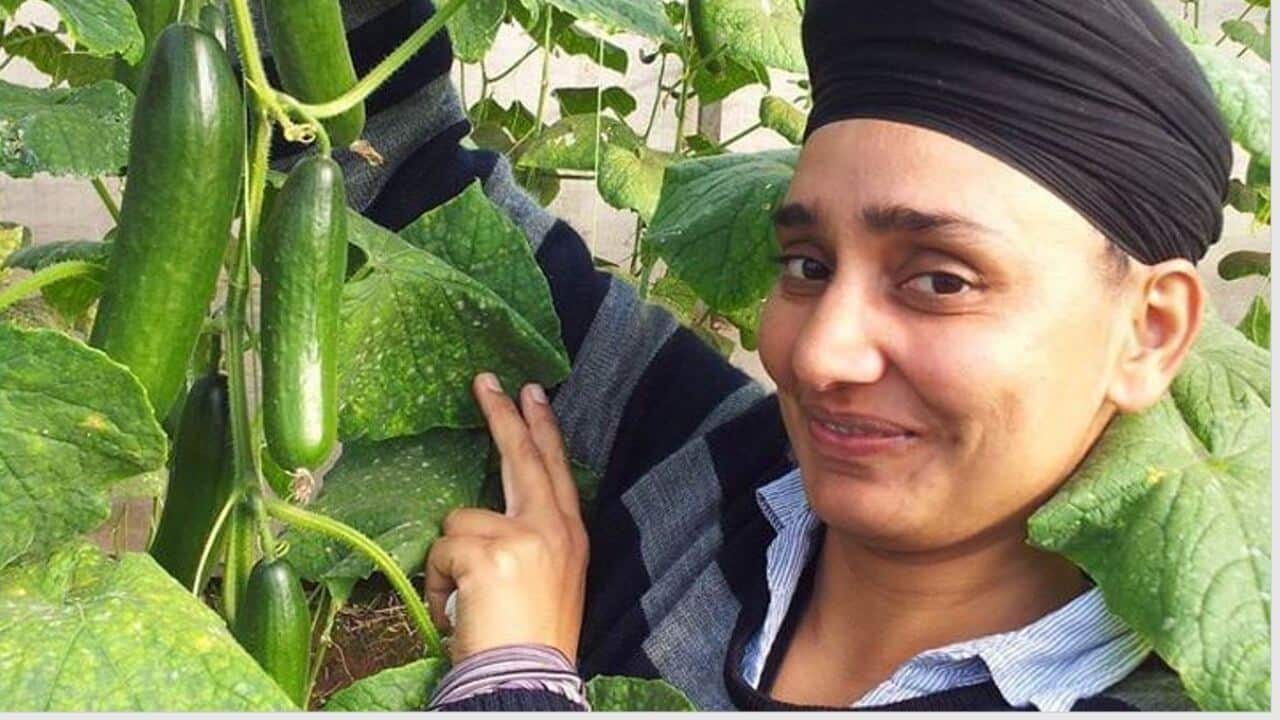 Gurpreet Kaur working in her farm in Virginia near Adelaide, SA