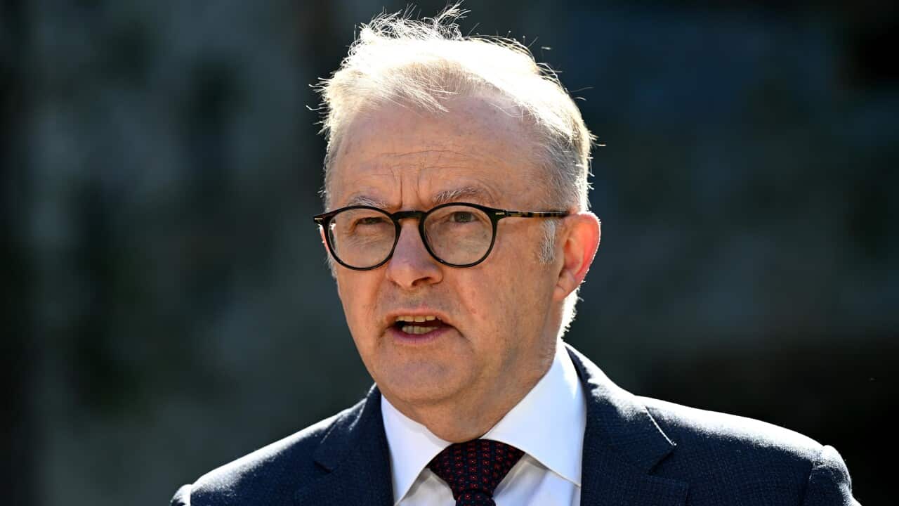 ANTHONY ALBANESE HOUSING SYDNEY