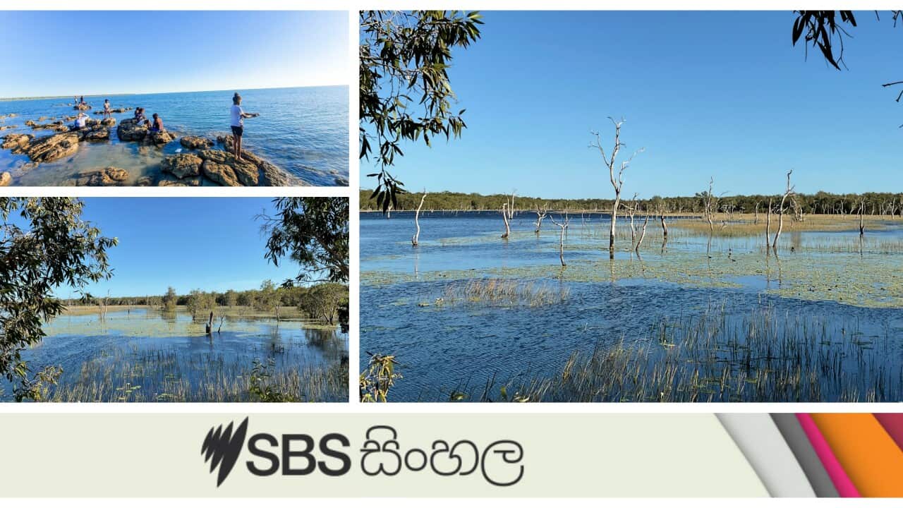 Image for read more article 'LISTEN MORE'