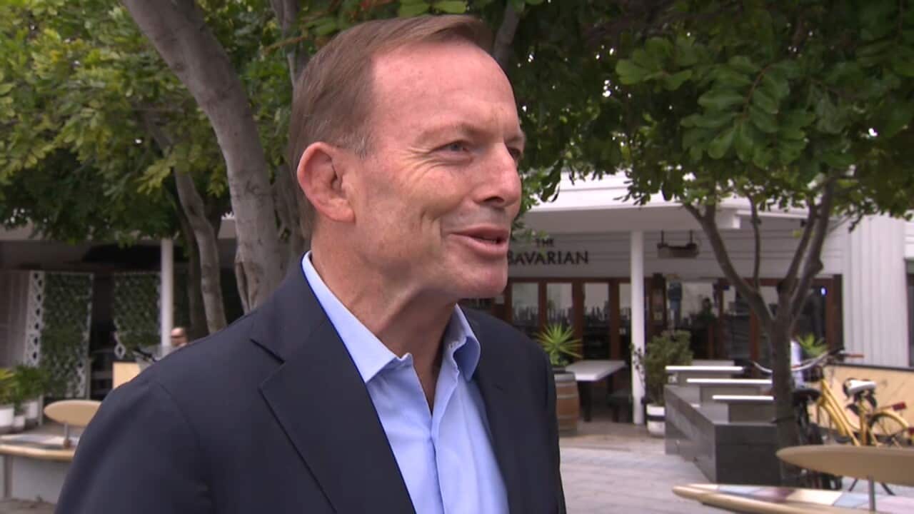 Tony Abbott on Friday.