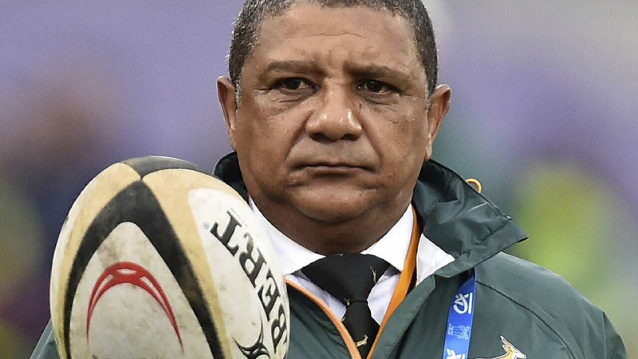 South Africa coach Allister Coetzee