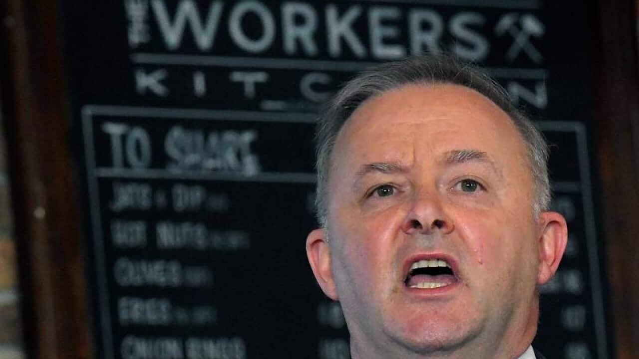 ANTHONY ALBANESE