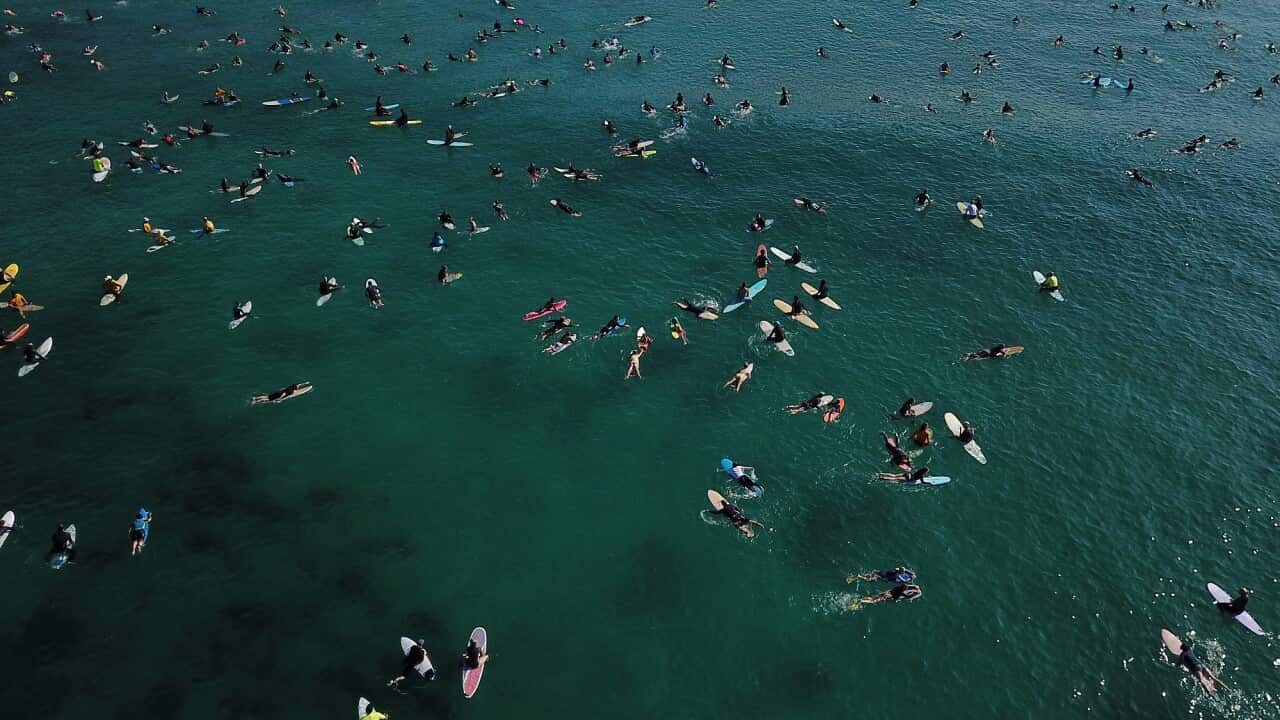 The Killalea National Surfing Reserve Committee says the paddle out record attempt is a protest over a proposed development at this unique and pristine area.