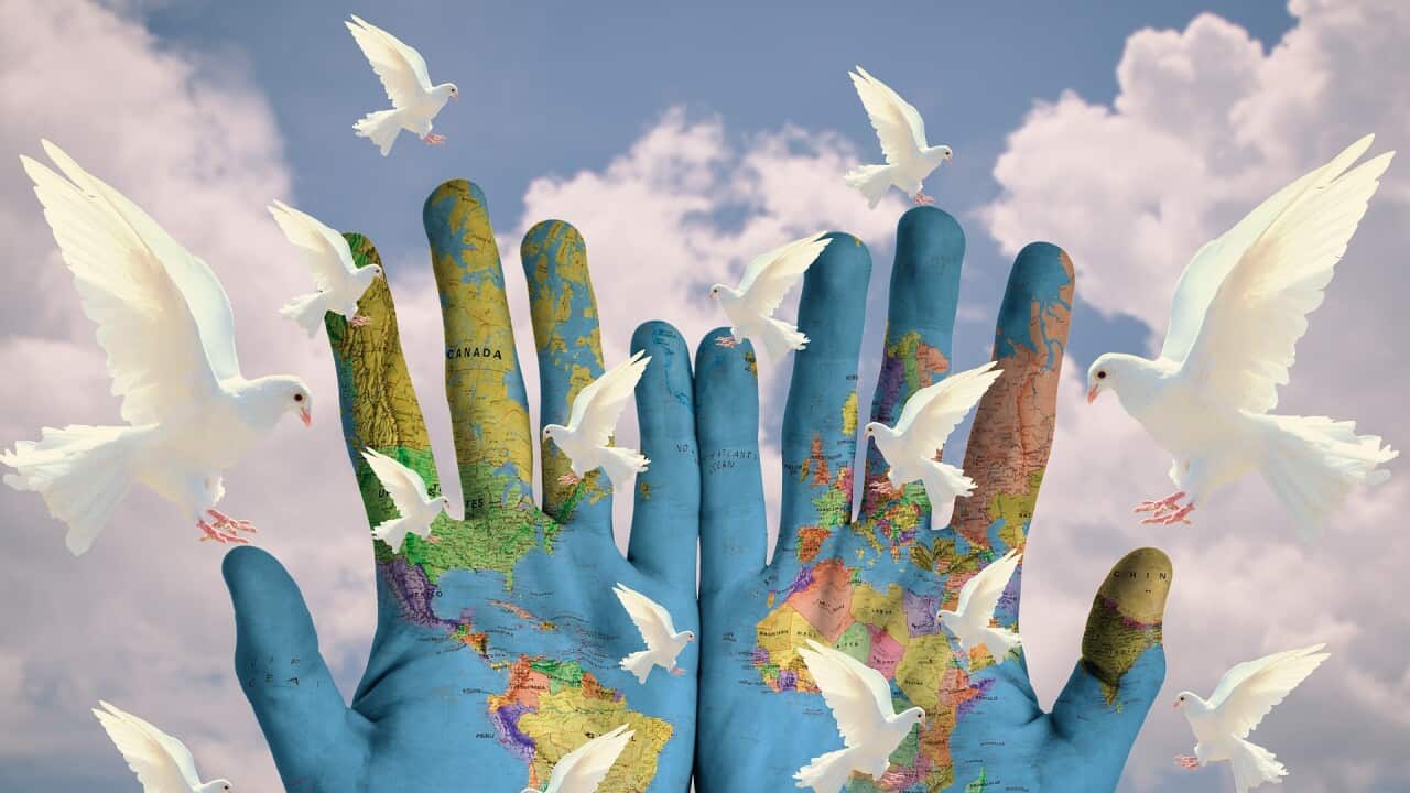 Πως υπολογίζεται η «Ειρήνη» σε ένα τόσο πολύπλοκο κόσμο; | SBS Greek