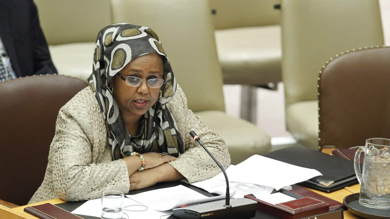 Security Council Meeting