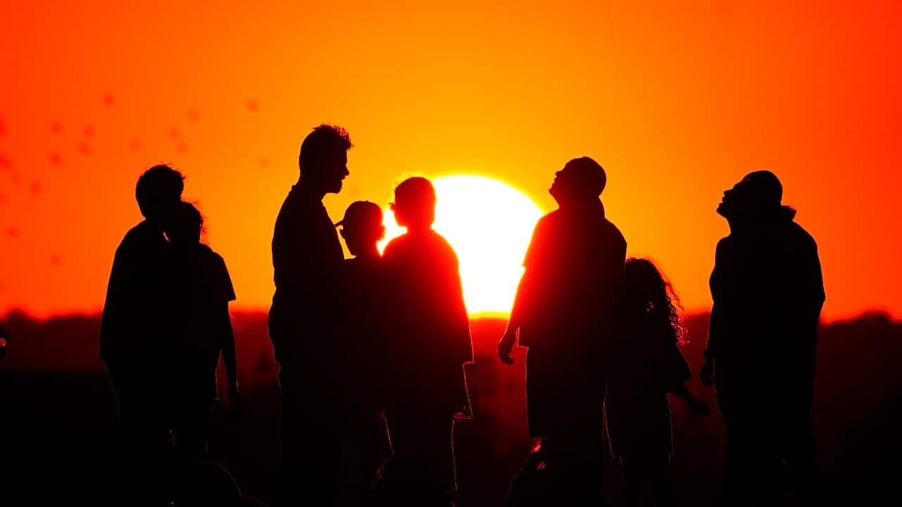 ‘Stark warning’ as scientists say hottest year on record broke Paris Agreement threshold