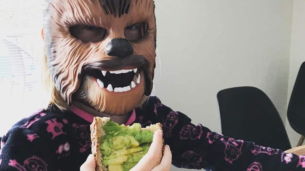 avocado toast