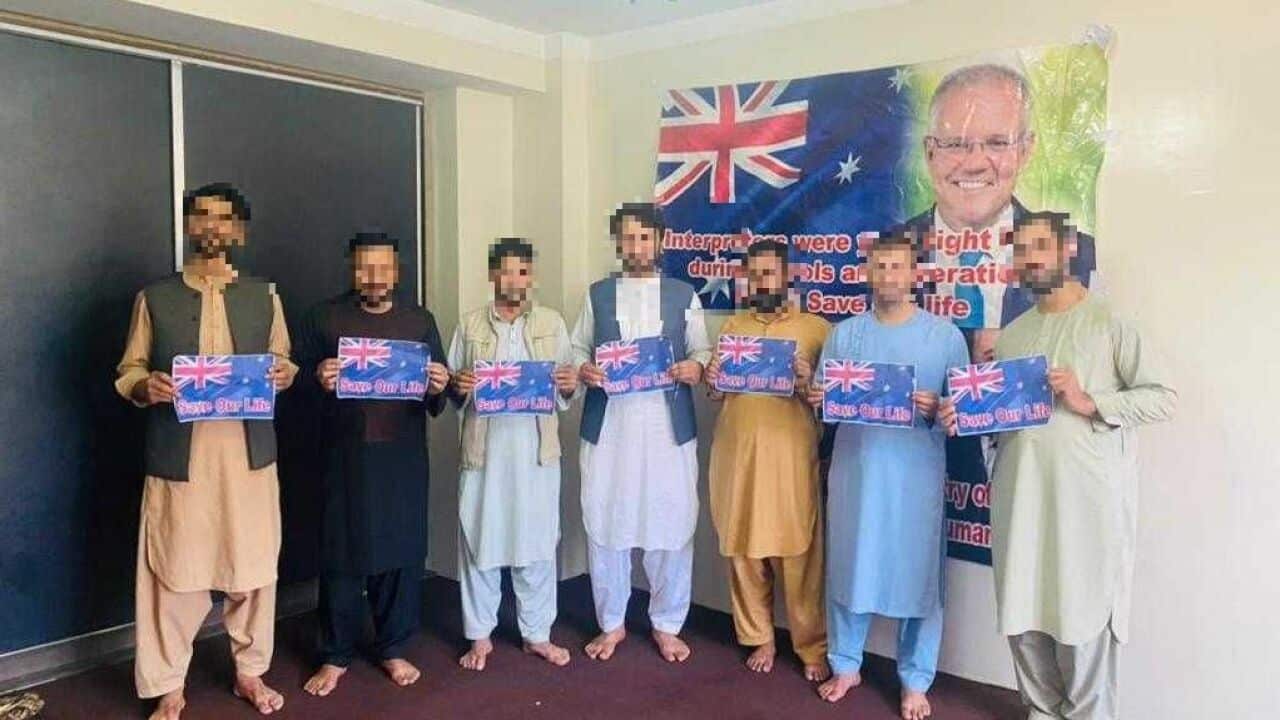 A group of former ADF interpreters are calling for help in Kabul.