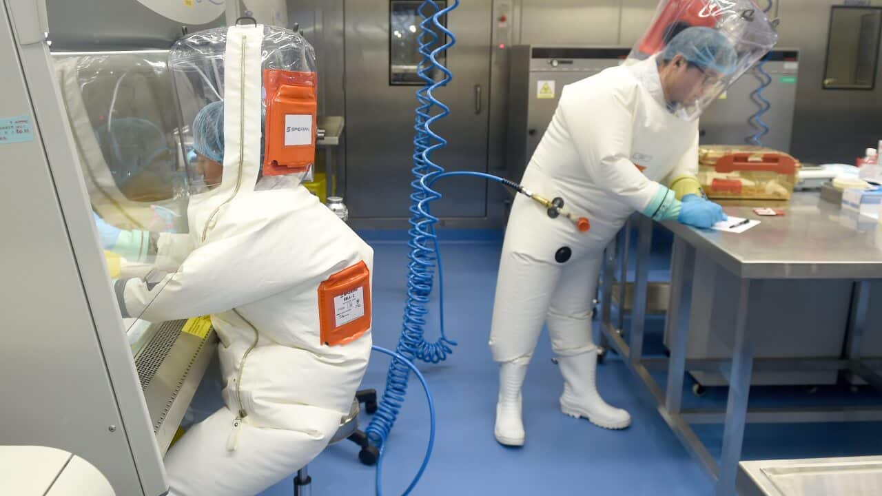 Researchers work in a lab of Wuhan Institute of Virology