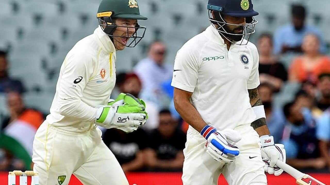 Tim Paine celebrates as Indian captain Virat Kohli leaves the field.