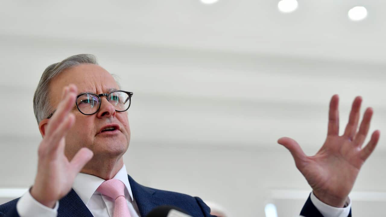 ANTHONY ALBANESE SYDNEY VISIT