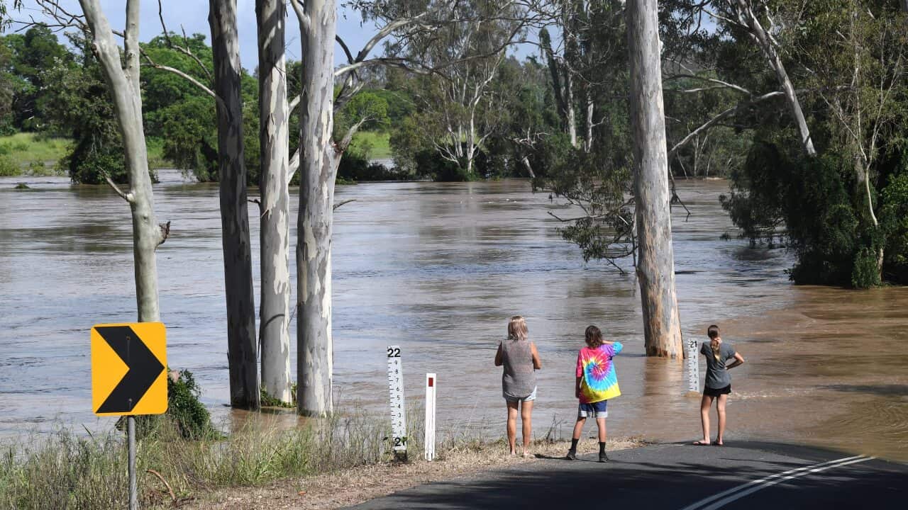 People are seen watching the flood waters from the Mary River rise in the town of Tiaro on 9 January.