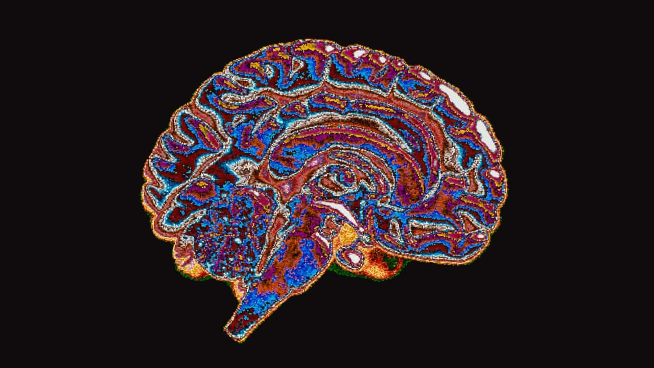 Image for read more article 'READ MORE'