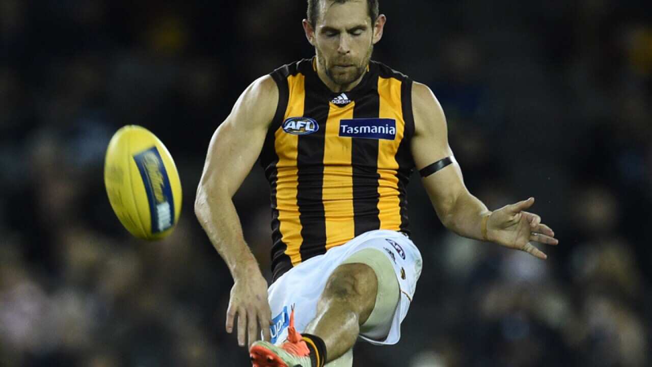 Hawthorn Hawks player Luke Hodge