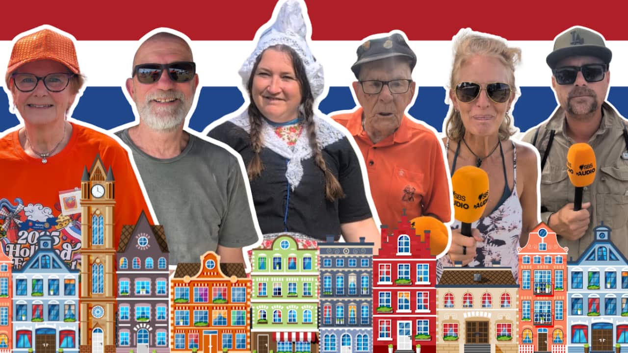 fox pop nederland
