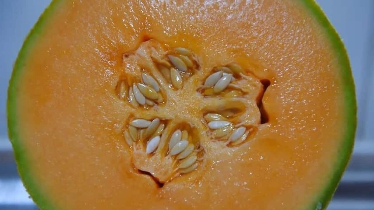 Fifth person dies as a result of rockmelon listeria outbreak