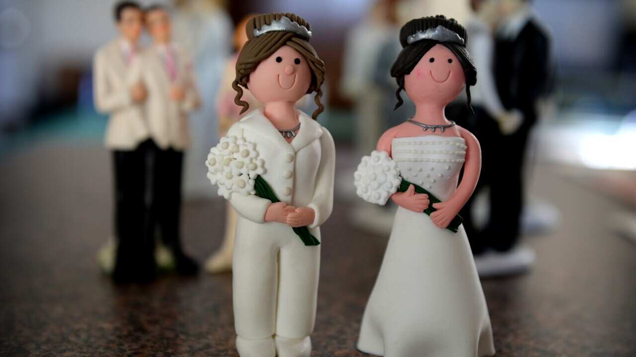 gay_marriage_131106_aap.JPG