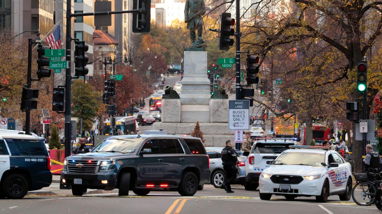 Police cars and personnel block a busy street flanked by tall trees and buildings.