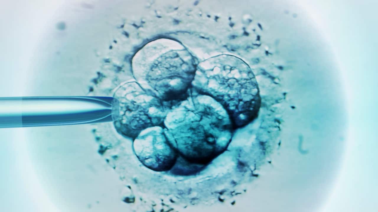 A US family is accusing a fertility doctor of using his own sperm to impregnate a patient. 