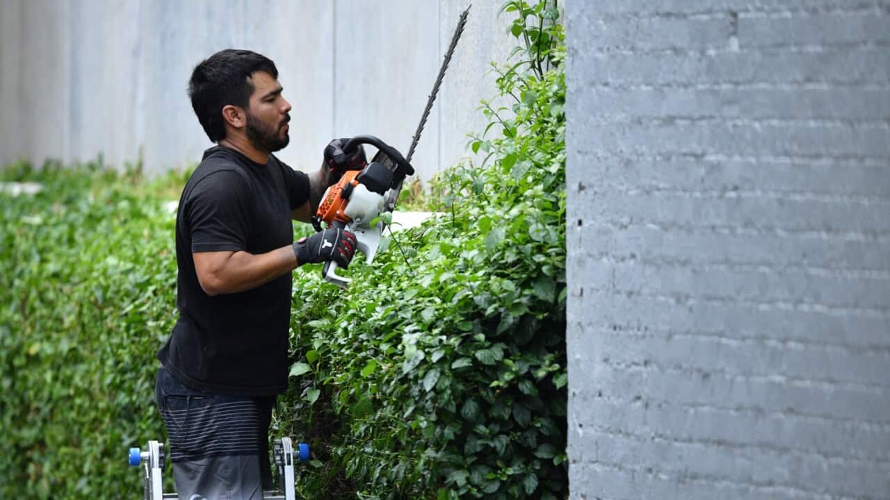 A landscape gardener is seen working at an apartment complex in Melbourne, Thursday, February 17, 2022.