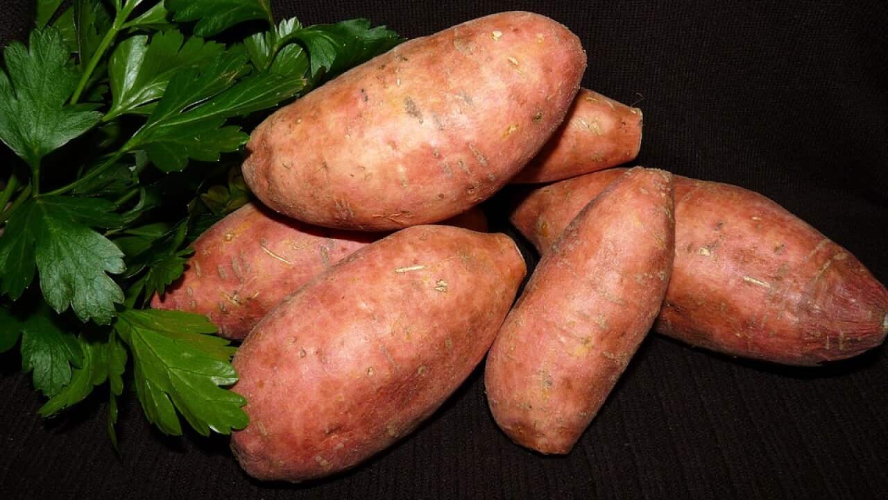 Sweet Potato