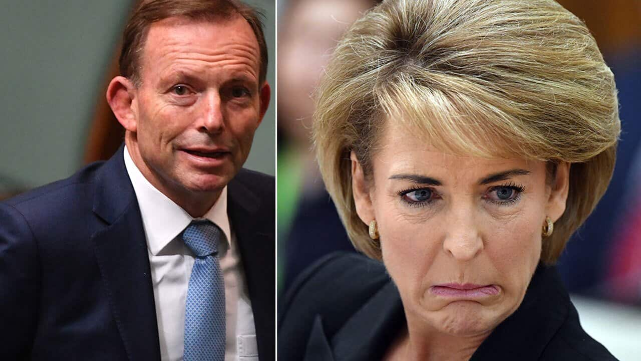 Tony Abbott and Michaelia Cash.